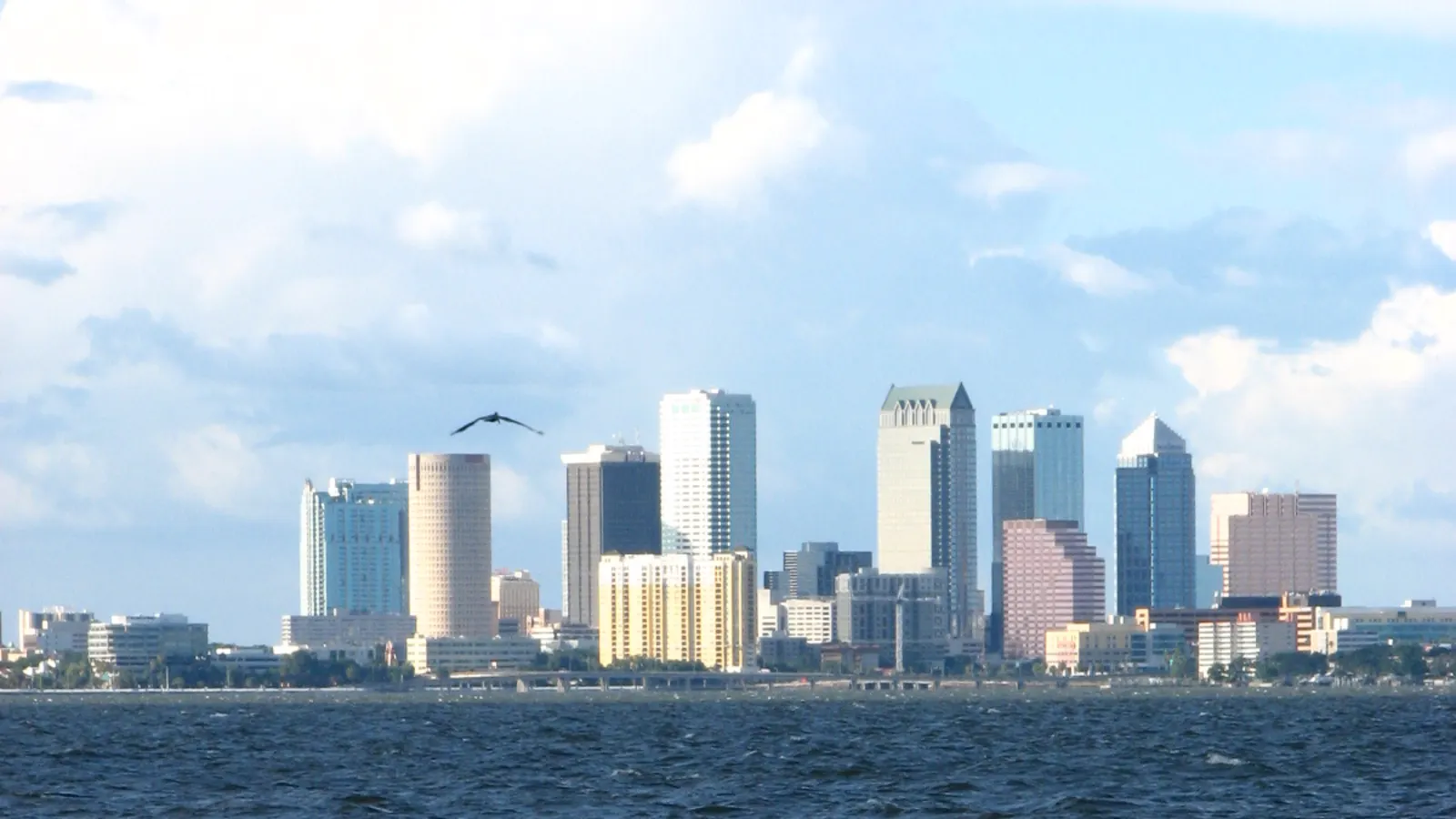 Tampa Bay waterfront skyline view representing a Tampa versus St. Petersburg relocation comparison